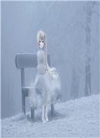 �촩֮���������ҵ�