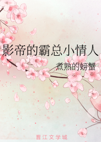 Ӱ�۵İ���С����