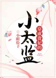 ���ɹ�����С̫��