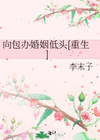 ����������ͷ[����]