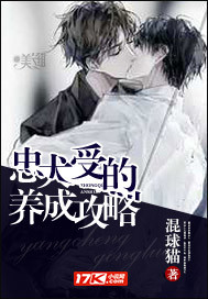 ��Ȯ�ܵ����ɹ���