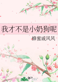 �ҲŲ���С�̹���