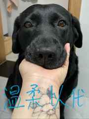 �����Դ�