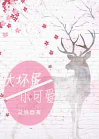 �󻵵���С�ɰ�