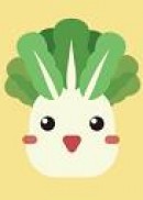 ʦ�ܽ����������