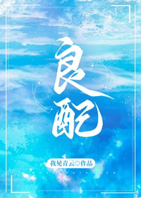 ����[׷�޻��᳡]