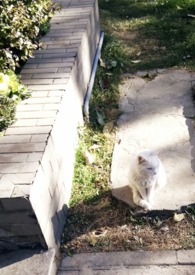 �Ļ���3PH��