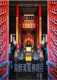 Ⱦ����������