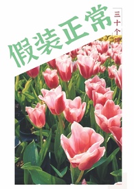 ��װ����