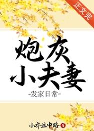 �ڻ�С���޷����ճ�