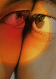 �޹��������ٺϣ�