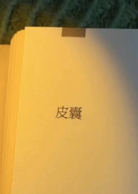 Ƥ�ң����죬H��