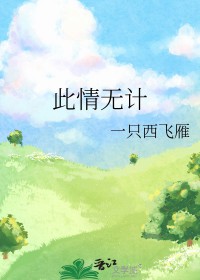 �����޼�