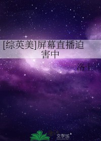 [��Ӣ��] ��Ļֱ���Ⱥ���