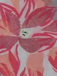 ��Ů�˵�������