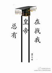 ���лʵ�������