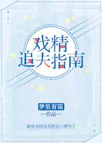 Ϸ��׷��ָ��